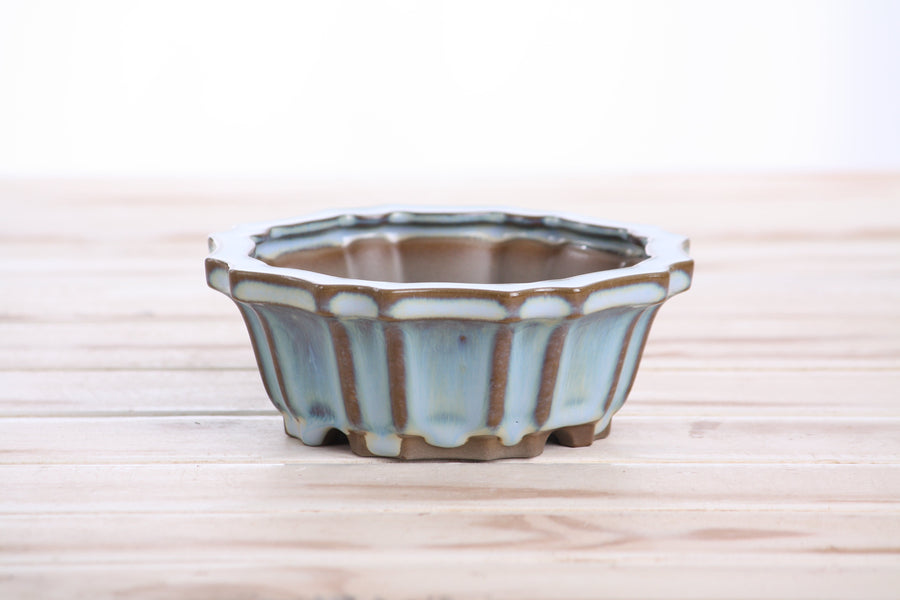 5-Inch Flower Bonsai Pot - Glacier