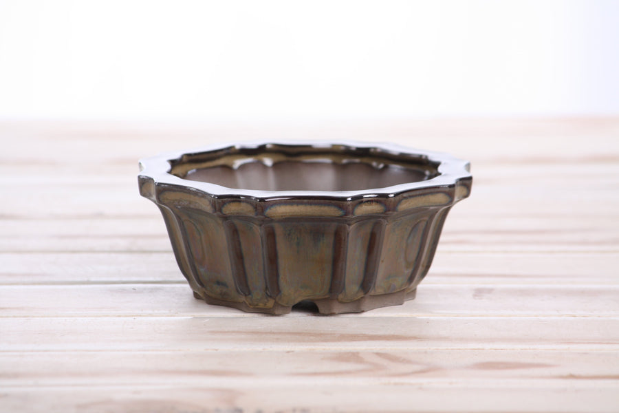 5-Inch Flower Bonsai Pot - Dark Honey