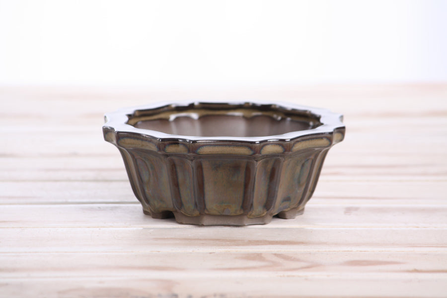 5-Inch Flower Bonsai Pot - Dark Honey