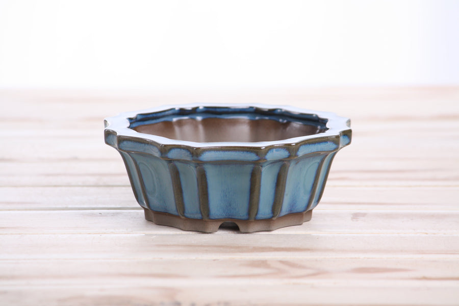 5-Inch Flower Bonsai Pot - Peacock 2025