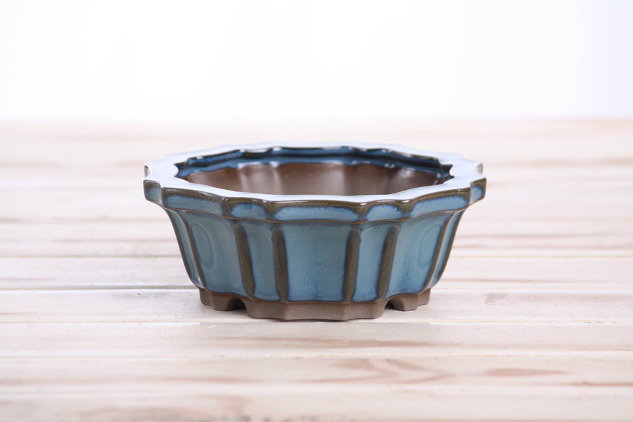 5-Inch Flower Bonsai Pot - Peacock 2025