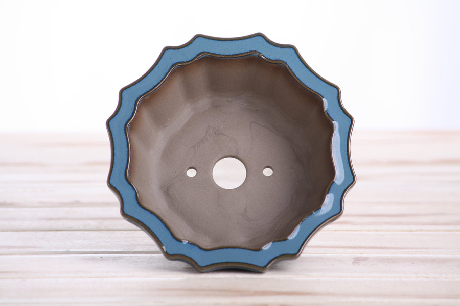 5-Inch Flower Bonsai Pot - Peacock 2025