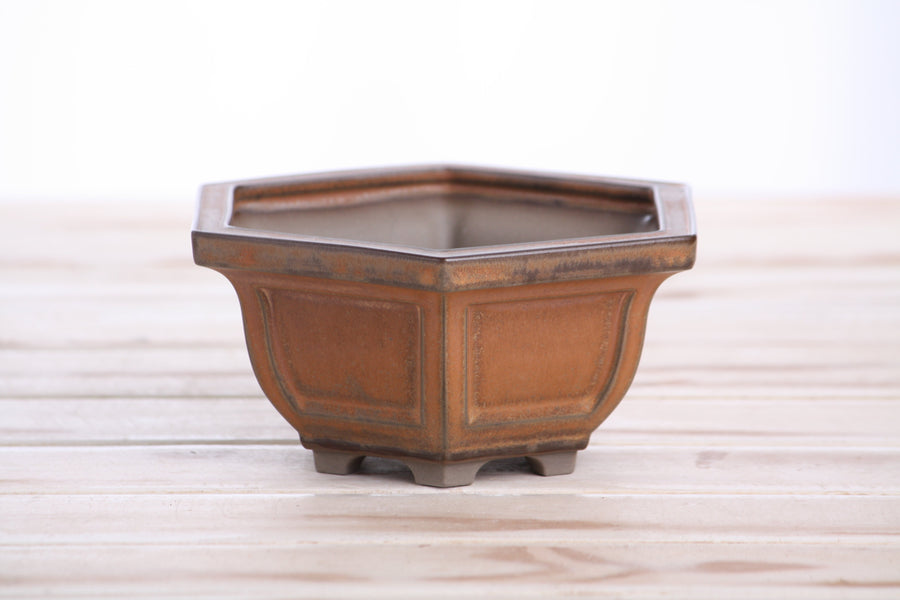 5-Inch Hexagonal Windowed Semi-Cascade Bonsai Pot - Deep Stone