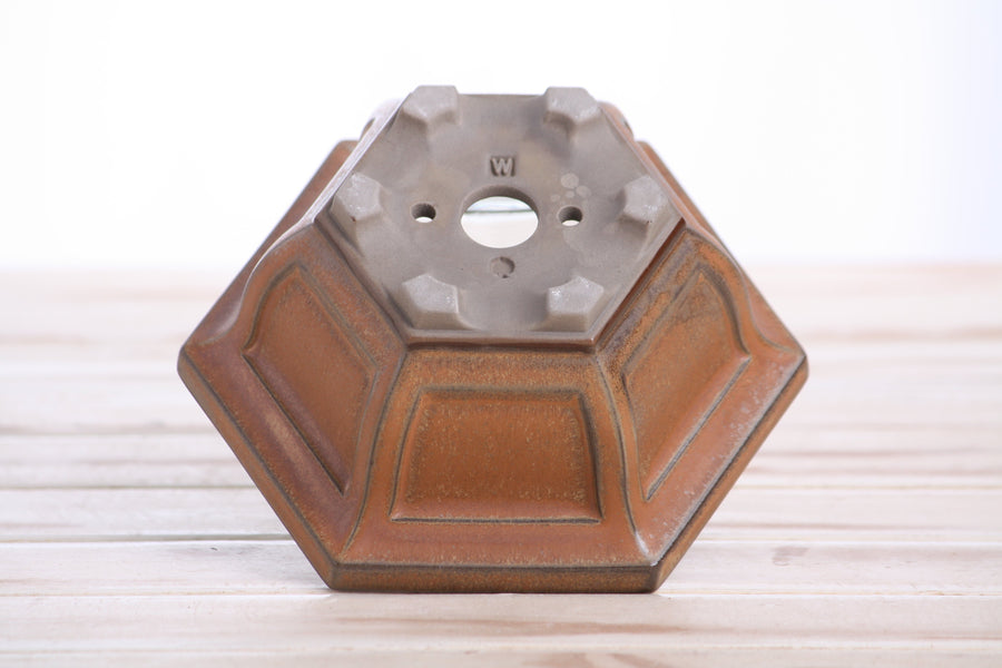 5-Inch Hexagonal Windowed Semi-Cascade Bonsai Pot - Deep Stone