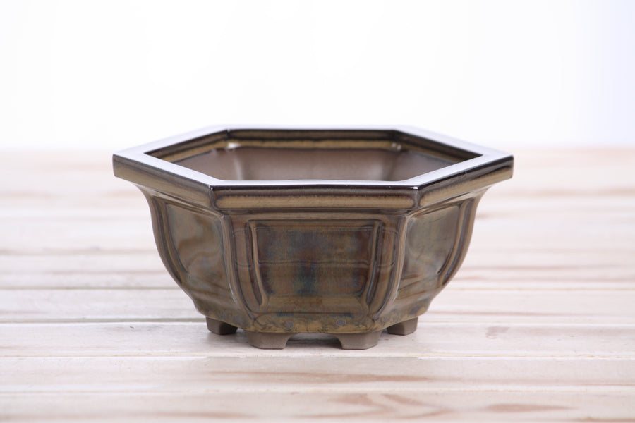 5-Inch Hexagonal Windowed Semi-Cascade Bonsai Pot - Dark Honey
