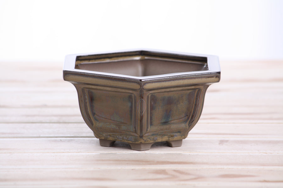 5-Inch Hexagonal Windowed Semi-Cascade Bonsai Pot - Dark Honey