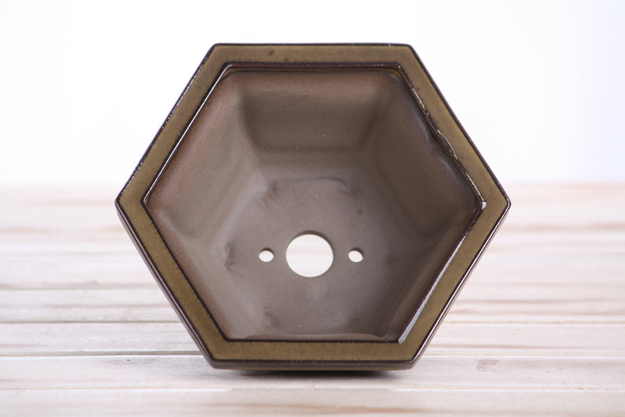 5-Inch Hexagonal Windowed Semi-Cascade Bonsai Pot - Dark Honey