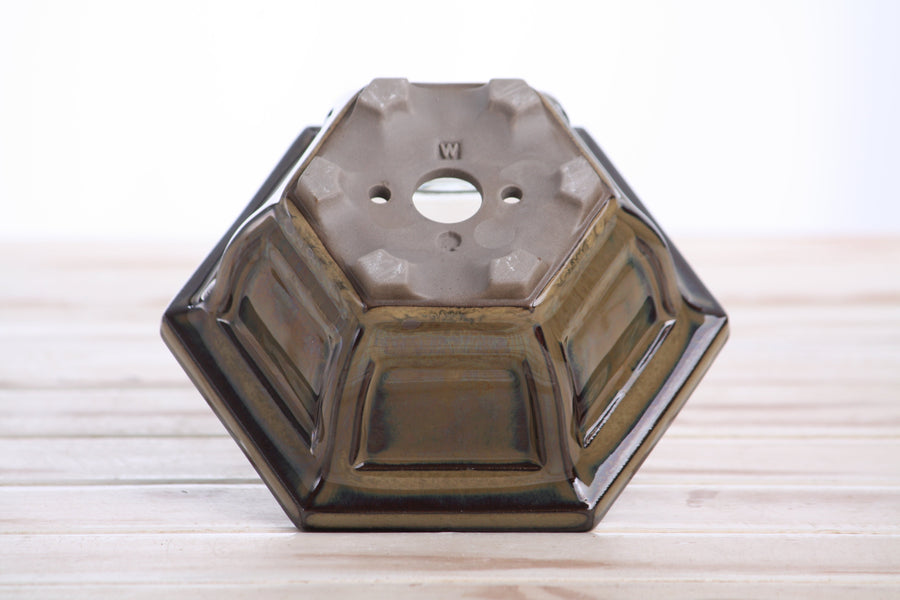 5-Inch Hexagonal Windowed Semi-Cascade Bonsai Pot - Dark Honey