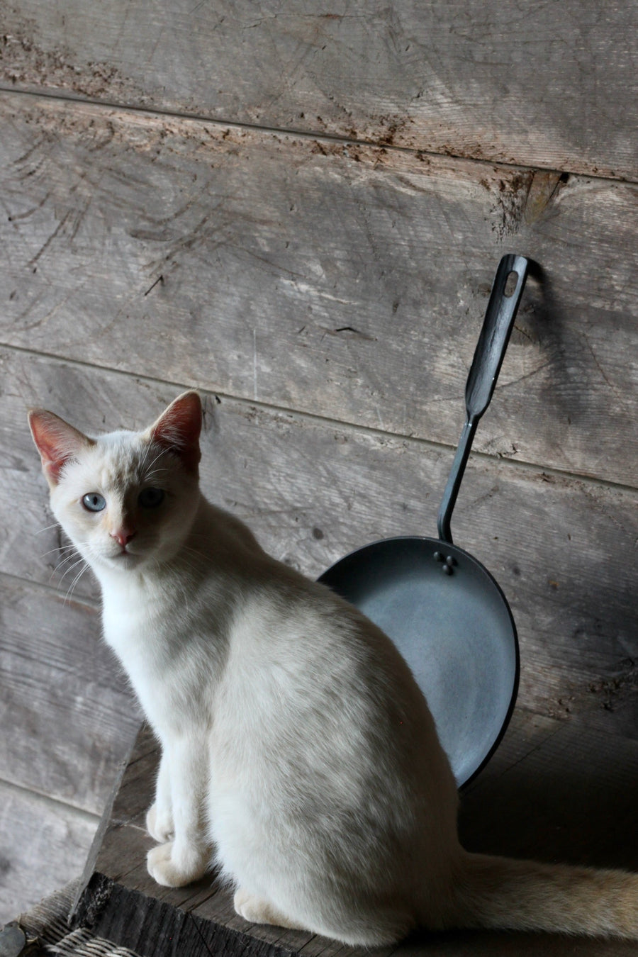 9A 9-inch Carbon Steel Skillet