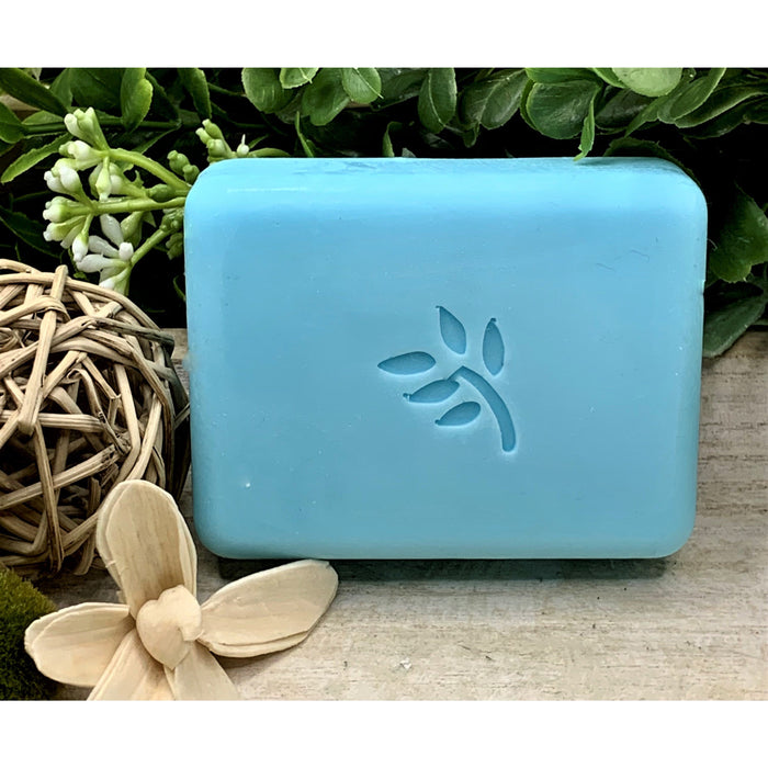 Cactus and Sea Salt Scented Artisian Bar of Soap with Shea Butter, Mango Butter and Coco Butter