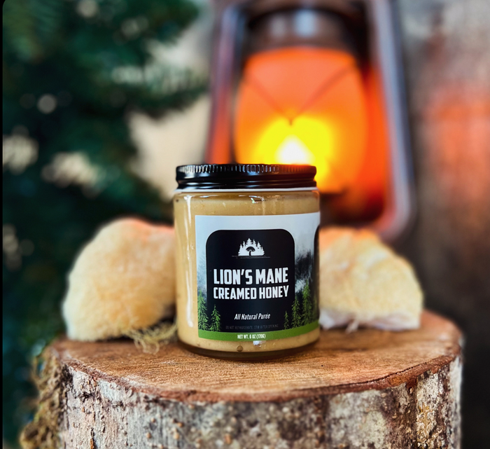 Lion’s Mane Creamed Honey – 1 lb Mushroom Honey Blend – product image