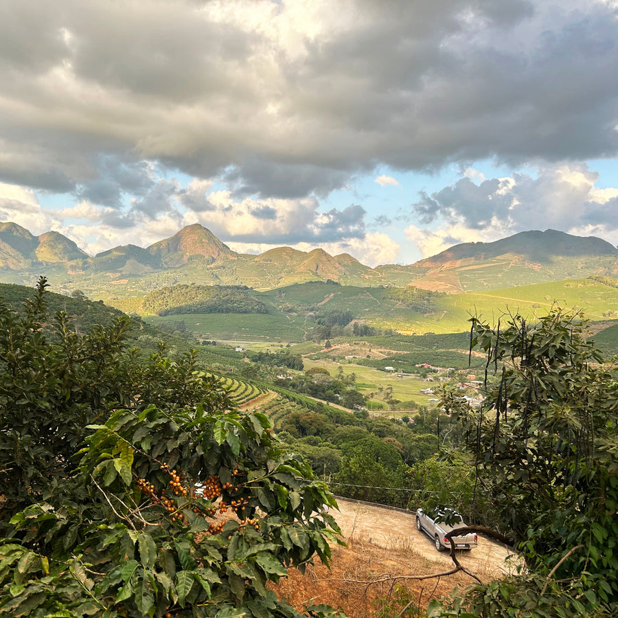 Mountain landscape in the Brazil Matas de Minas coffee image gallery