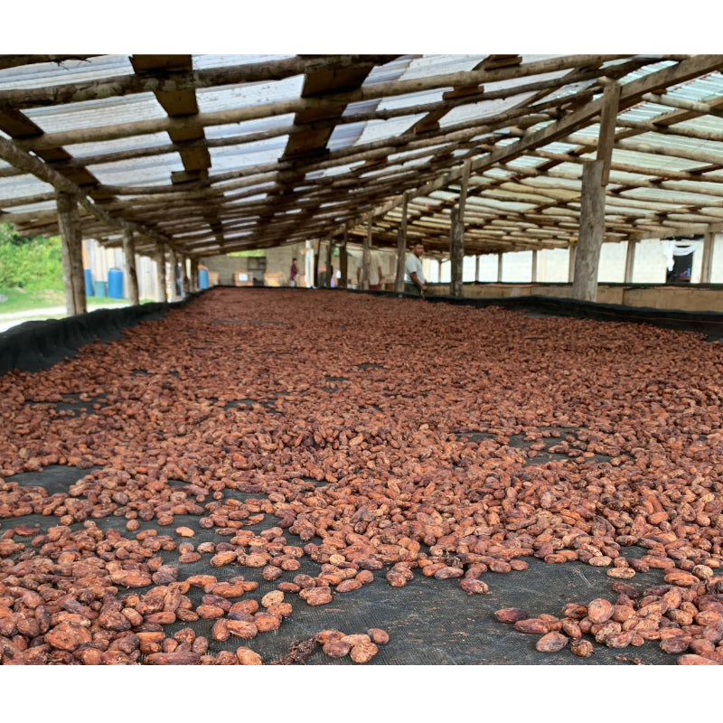 70% Belize Dark Chocolate Bar — product image 5 of 9