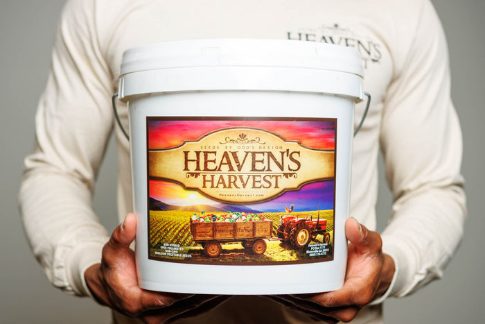 Person holding the Heirloom MAX seed bucket to show its scale