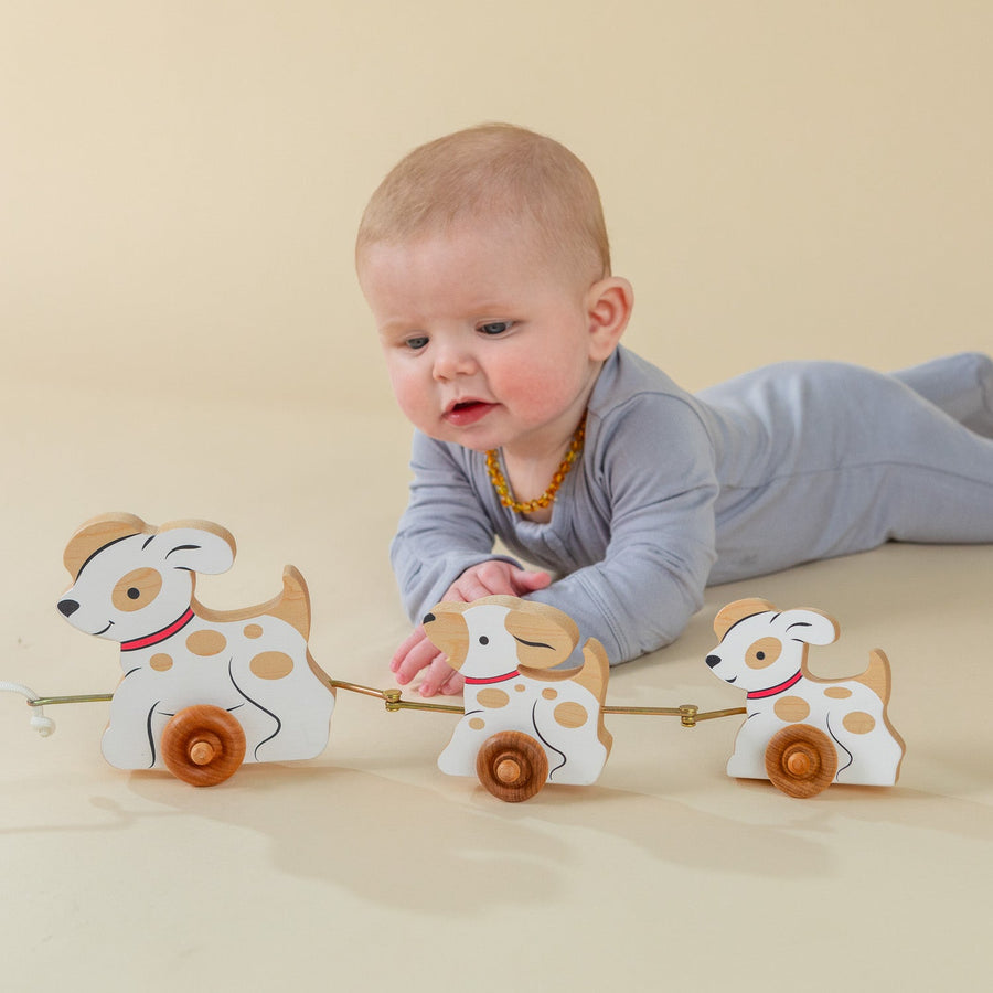 Baby exploring a linked wooden animal pull toy