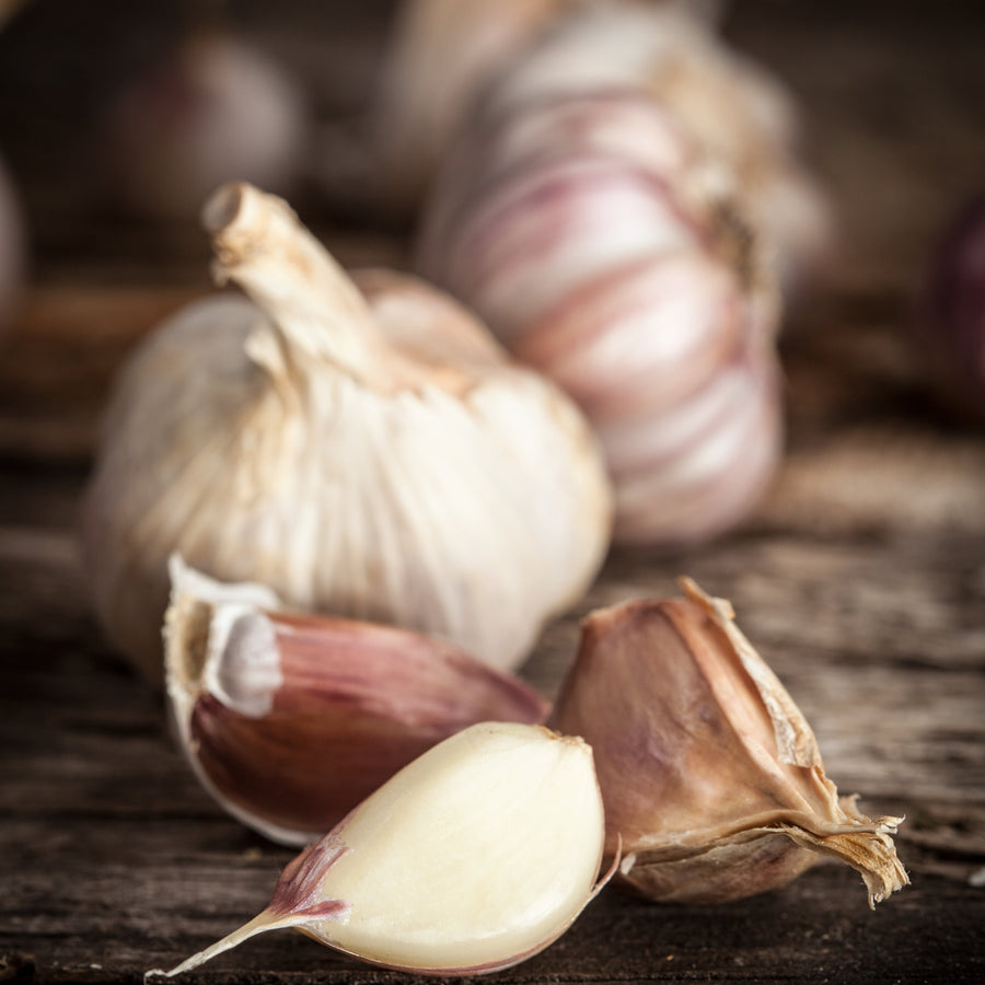 Garlic Salt: MOUTH FULL OF MAGIC