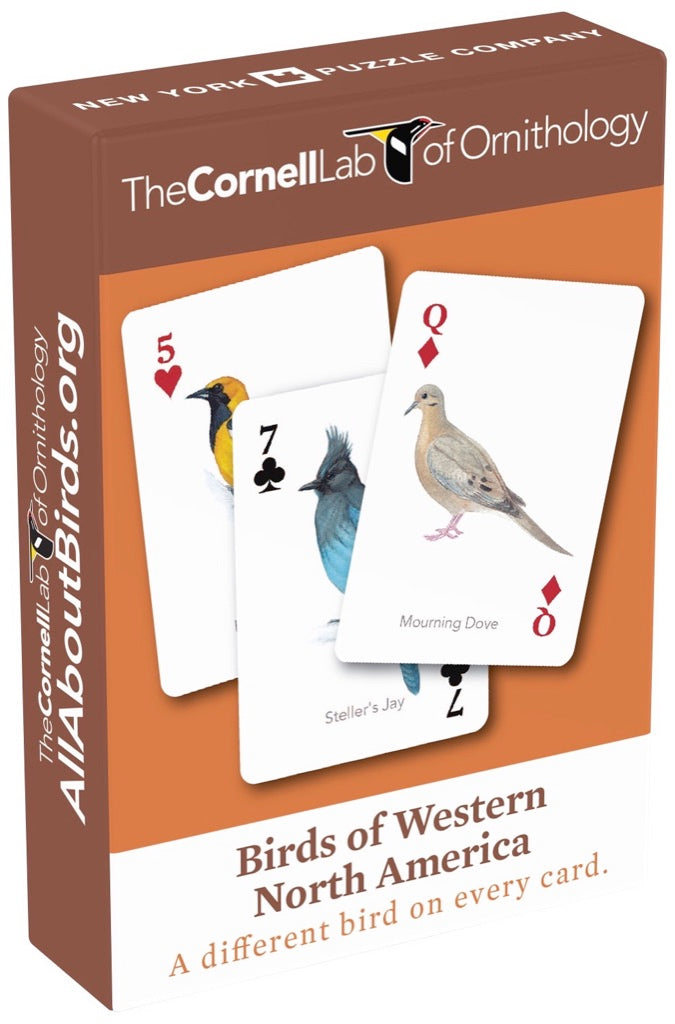 Birds of Western North America Playing Cards case