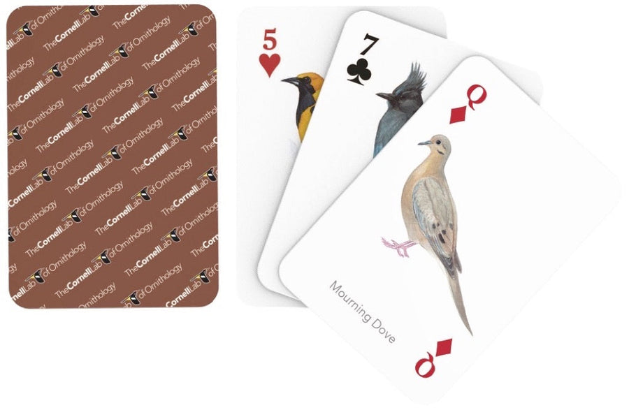 Illustrated faces and backs of birds of western north america playing cards