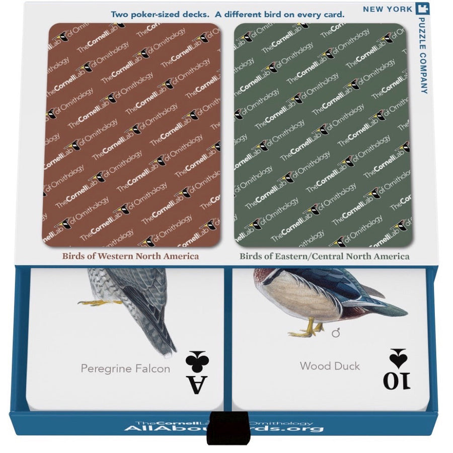 Cornell bird playing-card two-deck case