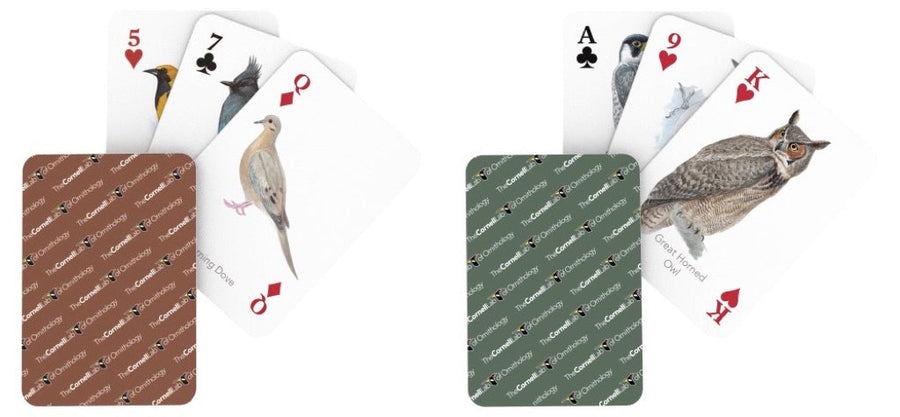 Examples of illustrated Cornell bird playing cards