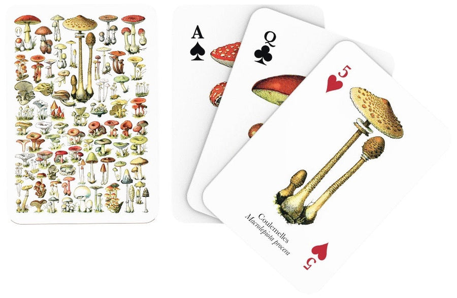 Illustrated faces and backs of mushroom playing cards