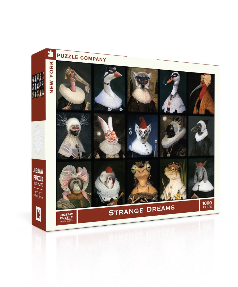 Strange Dreams puzzle box and illustrated design