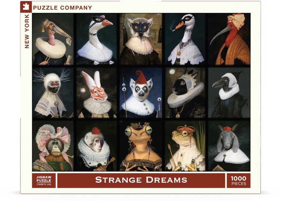 Packaging showing Strange Dreams puzzle artwork