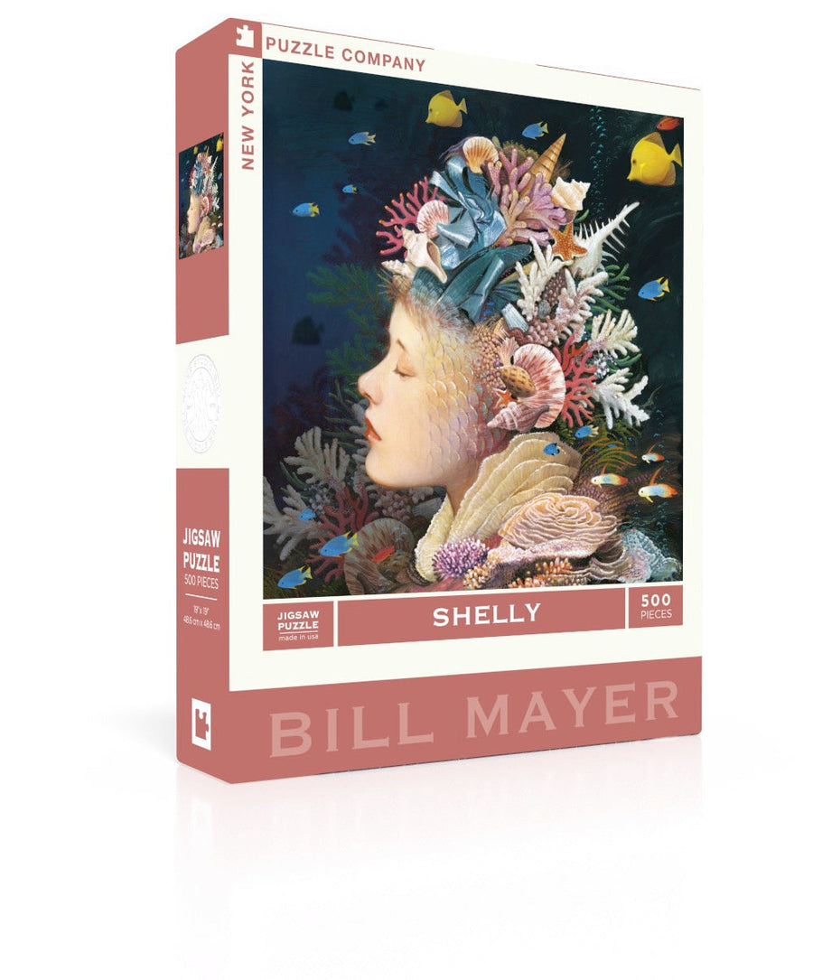 Shelly puzzle box and illustrated design