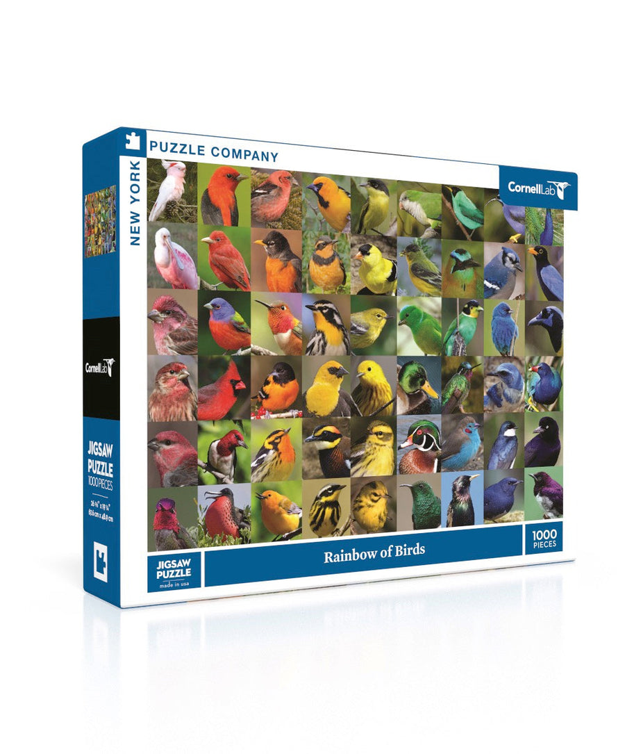 Rainbow of Birds puzzle box and illustrated design