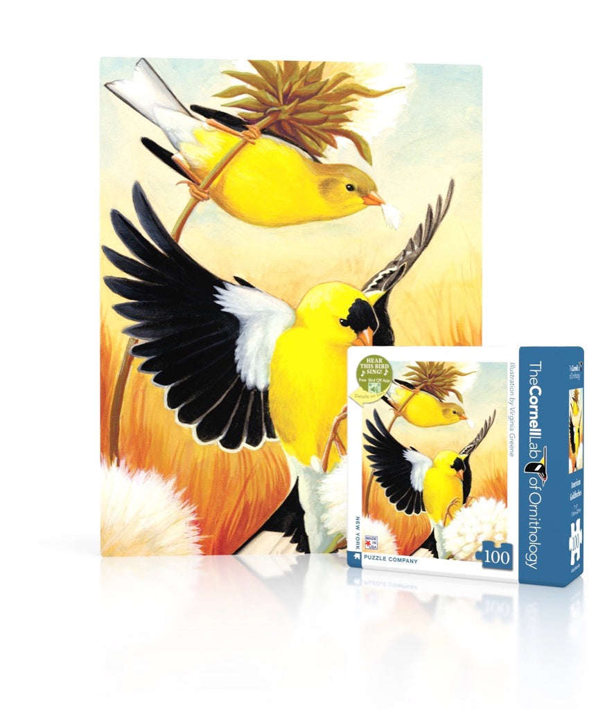 American Goldfinch Mini puzzle box and illustrated design