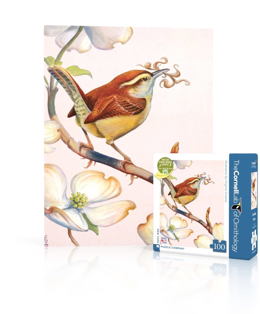 Carolina Wren Mini puzzle box and illustrated design