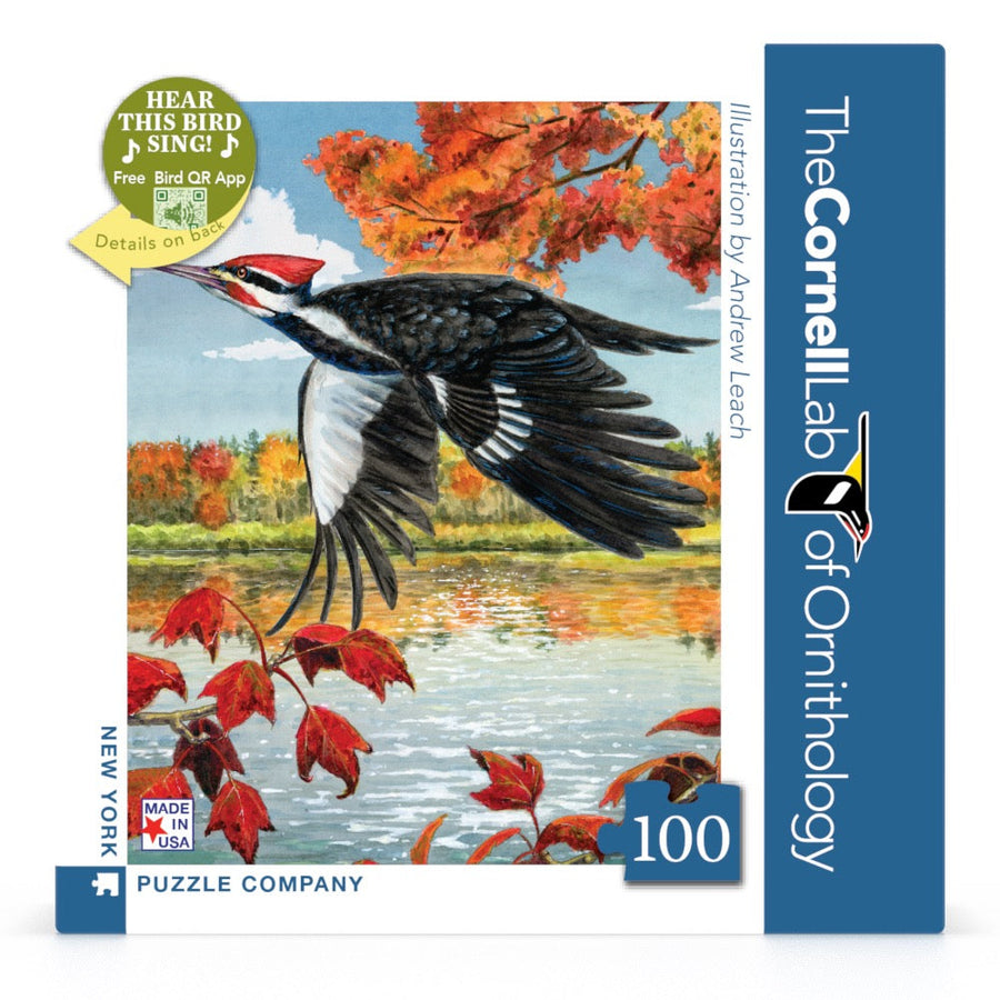 Packaging showing Pileated Woodpecker Mini puzzle artwork