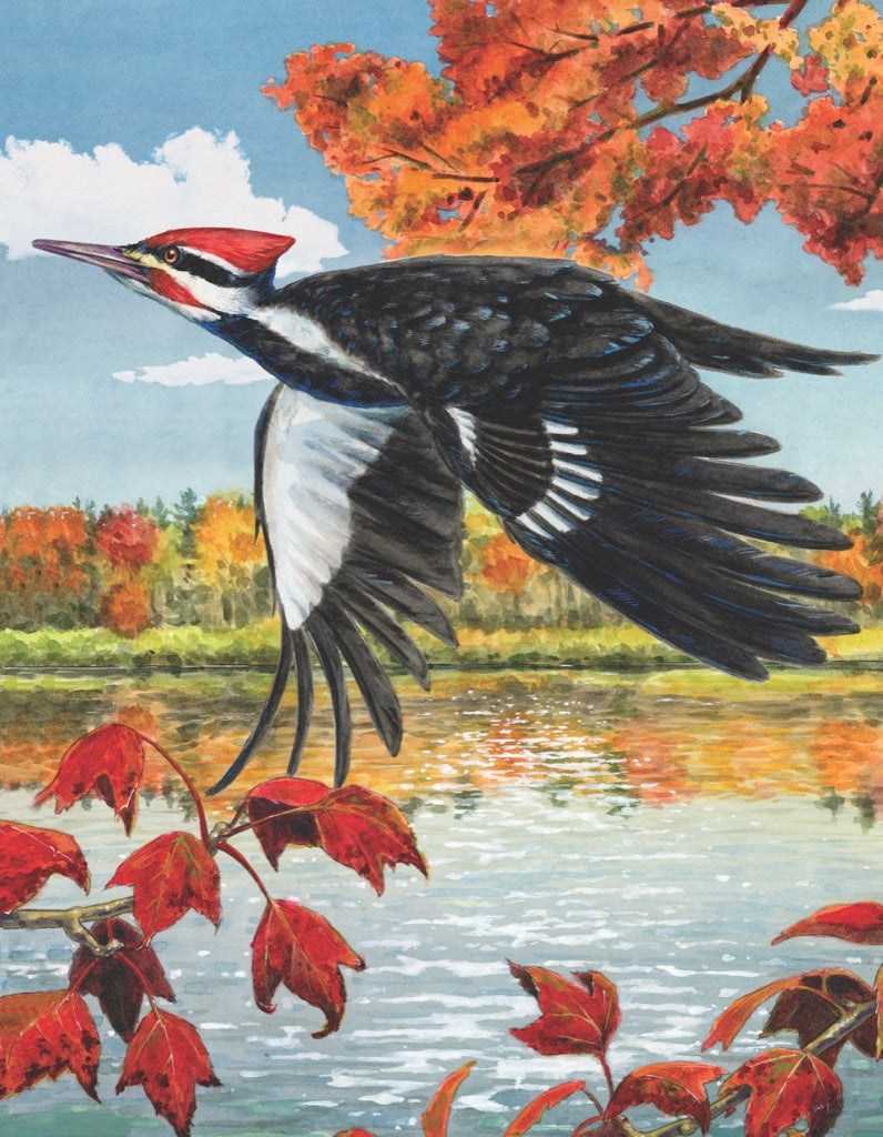 Illustrated Pileated Woodpecker Mini puzzle design