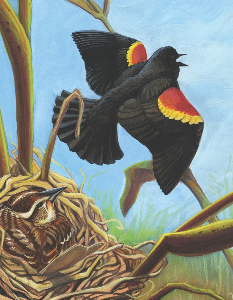 Illustrated Red-winged Blackbird Mini puzzle design