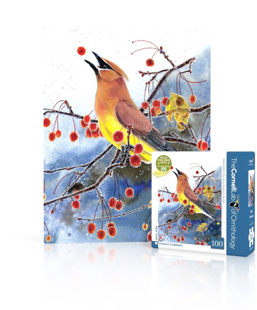 Cedar Waxwing Mini puzzle box and illustrated design