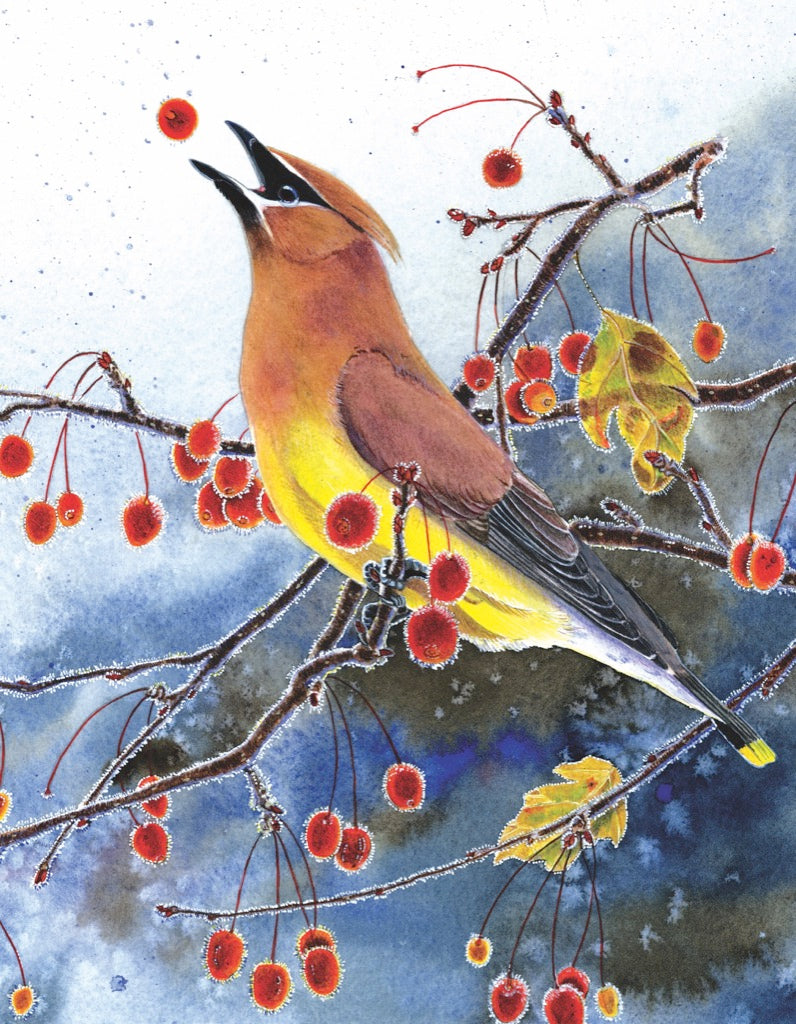 Illustrated Cedar Waxwing Mini puzzle design