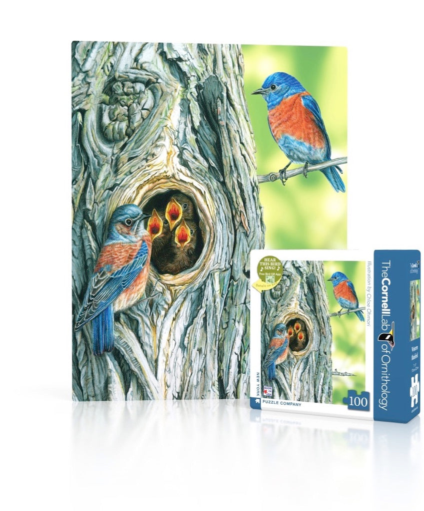 Western Bluebird Mini puzzle box and illustrated design