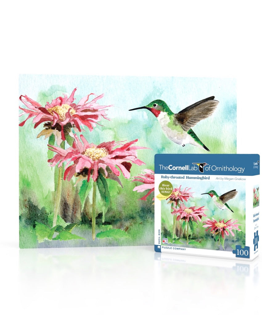 Ruby-throated Hummingbird Mini puzzle box and illustrated design