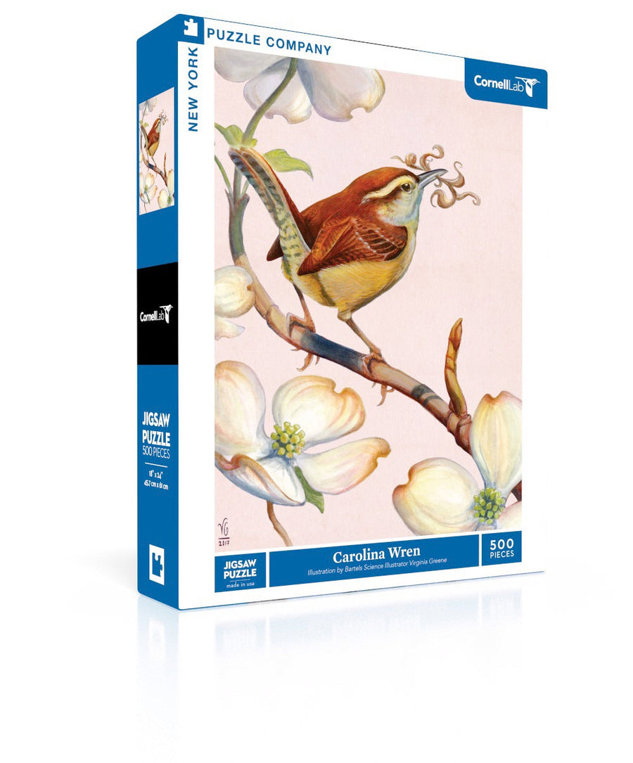 Carolina Wren puzzle box and illustrated design