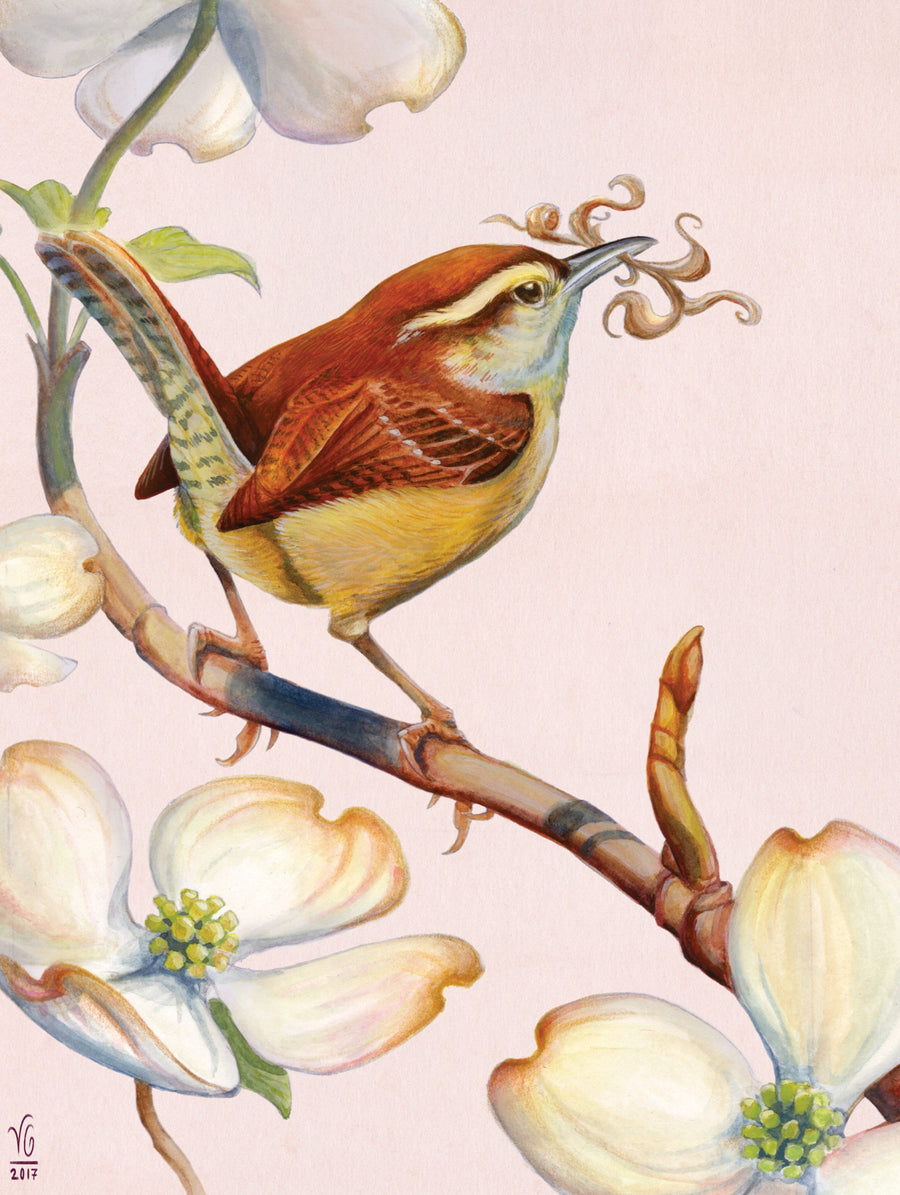 Illustrated Carolina Wren puzzle design