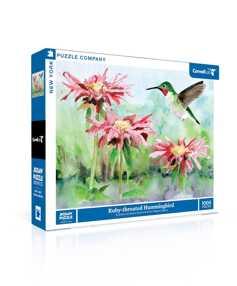 Ruby-throated Hummingbird puzzle box and illustrated design