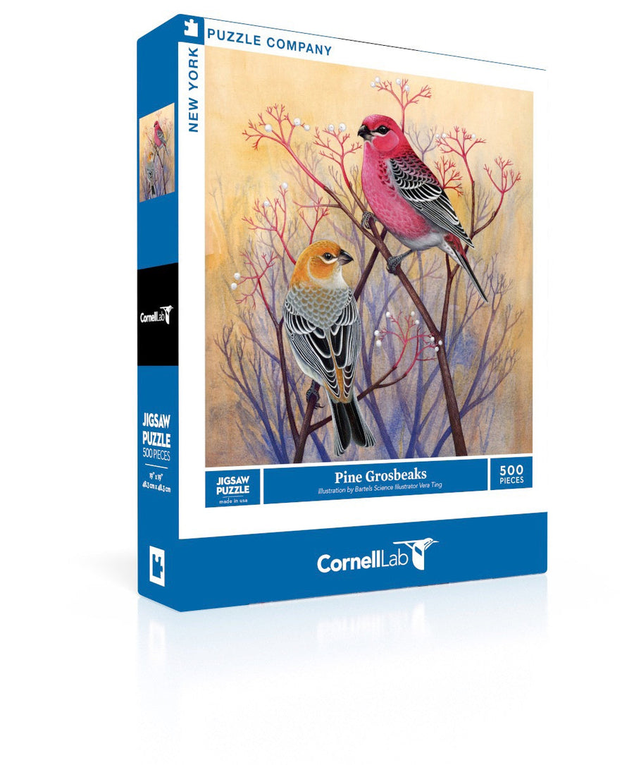 Pine Grosbeaks puzzle box and illustrated design