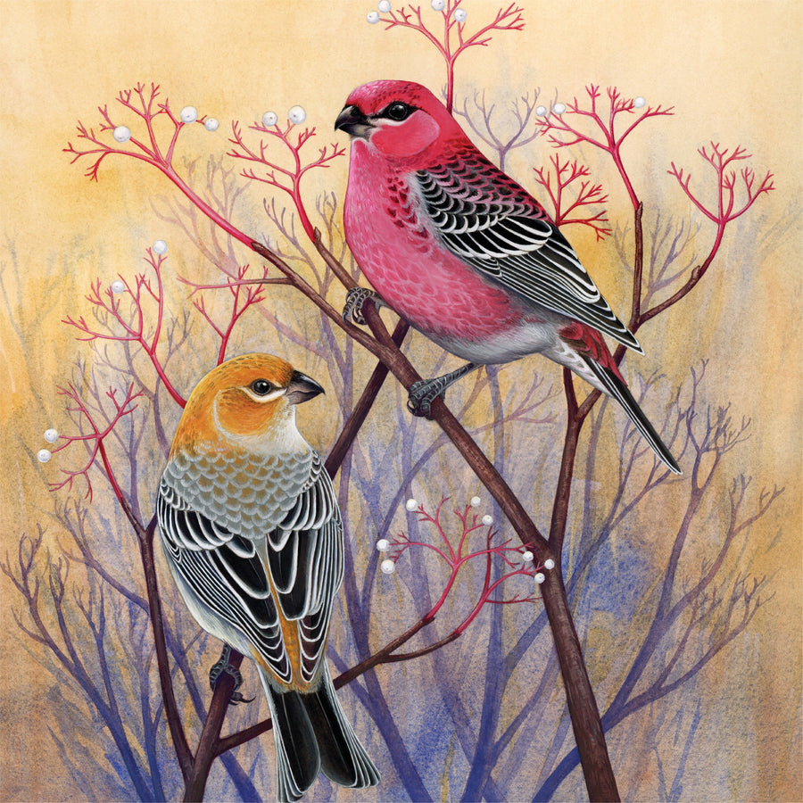 Illustrated Pine Grosbeaks puzzle design