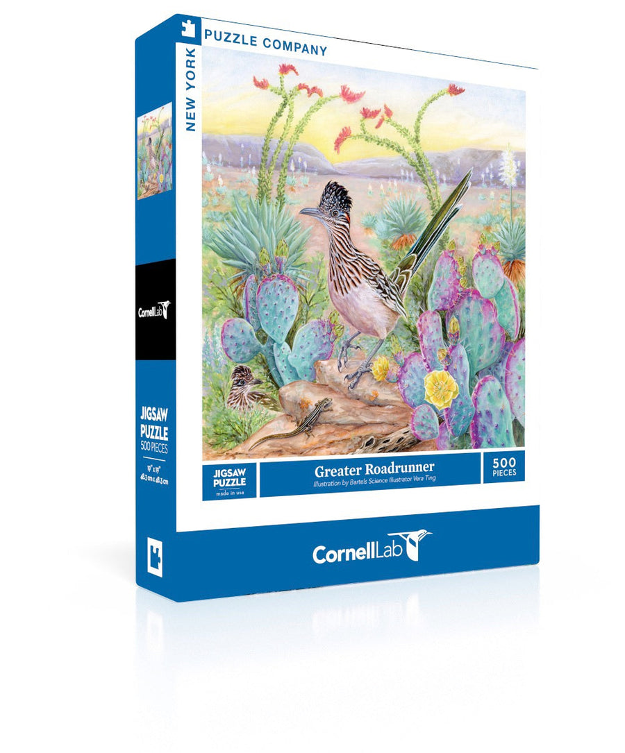 Greater Roadrunner puzzle box and illustrated design