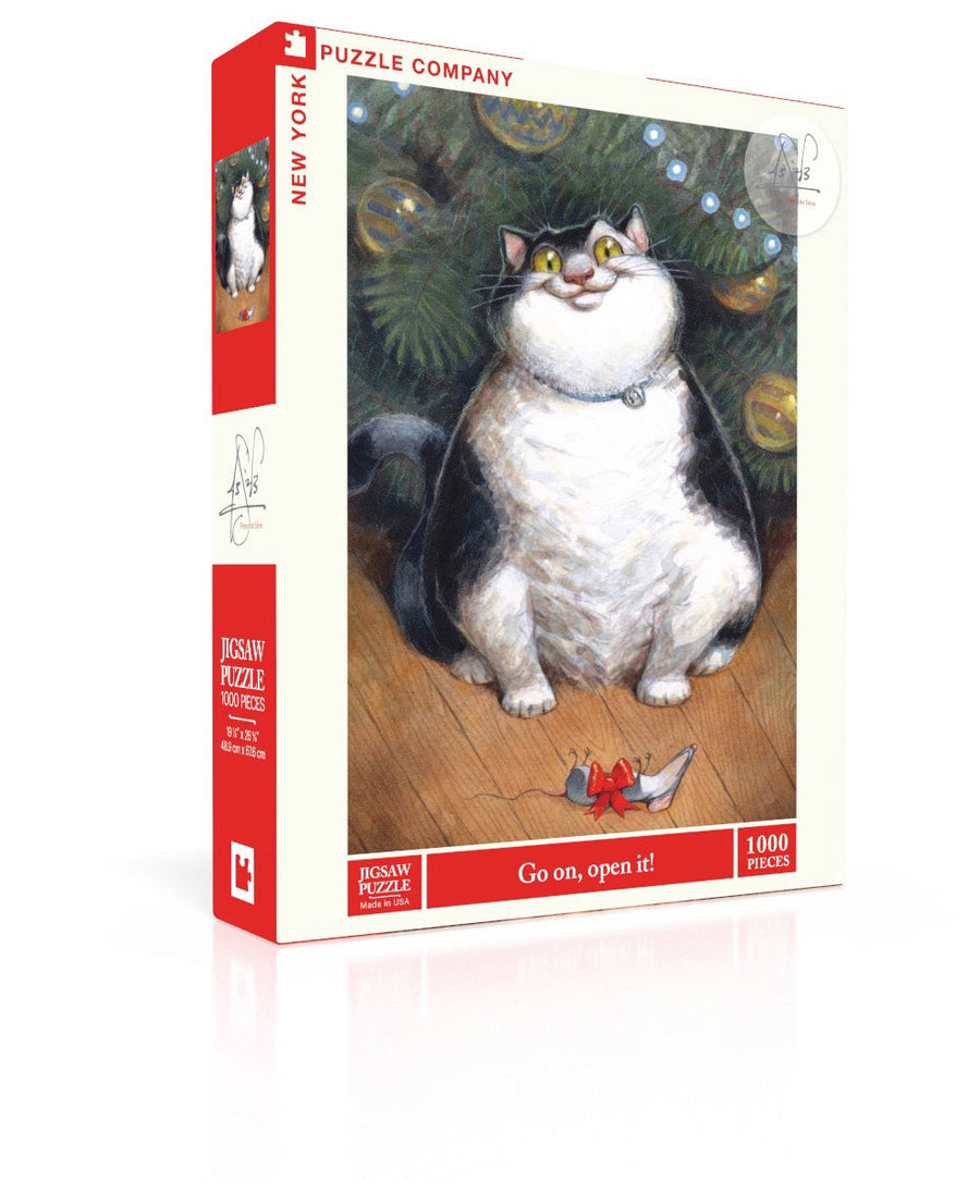 Go on, open it! puzzle box and illustrated design