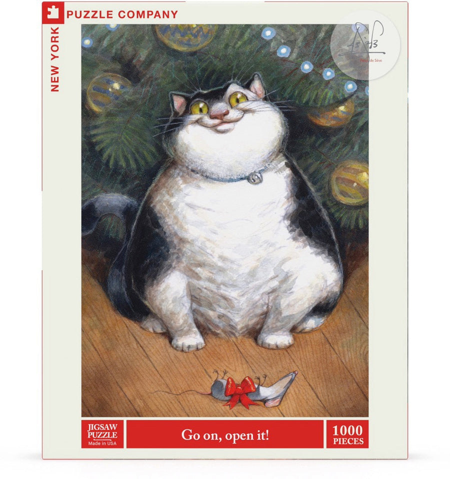 Packaging showing Go on, open it! puzzle artwork