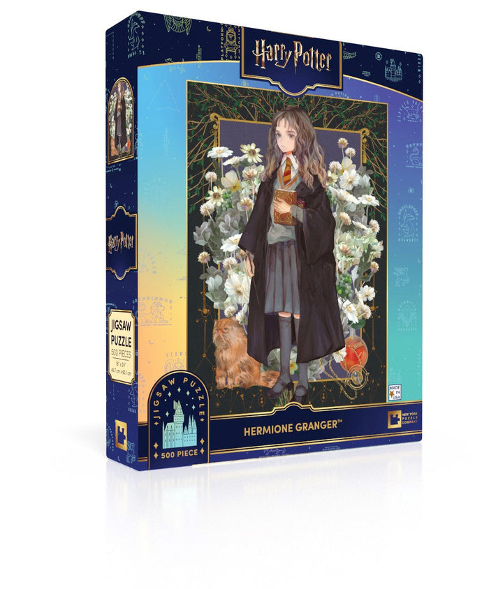 Hermione Granger puzzle box and illustrated design