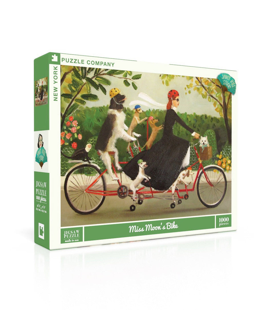 Miss Moon's Bike puzzle box and illustrated design