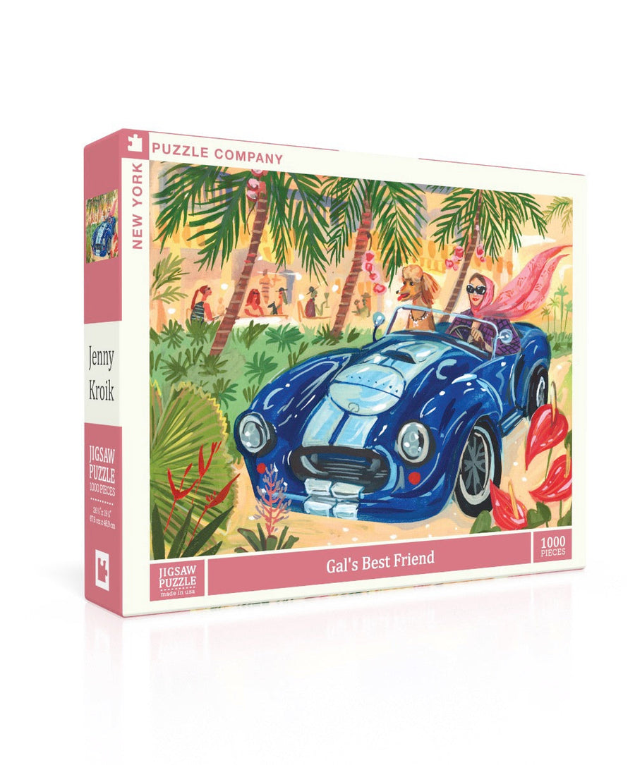 Gal's Best Friend puzzle box and illustrated design