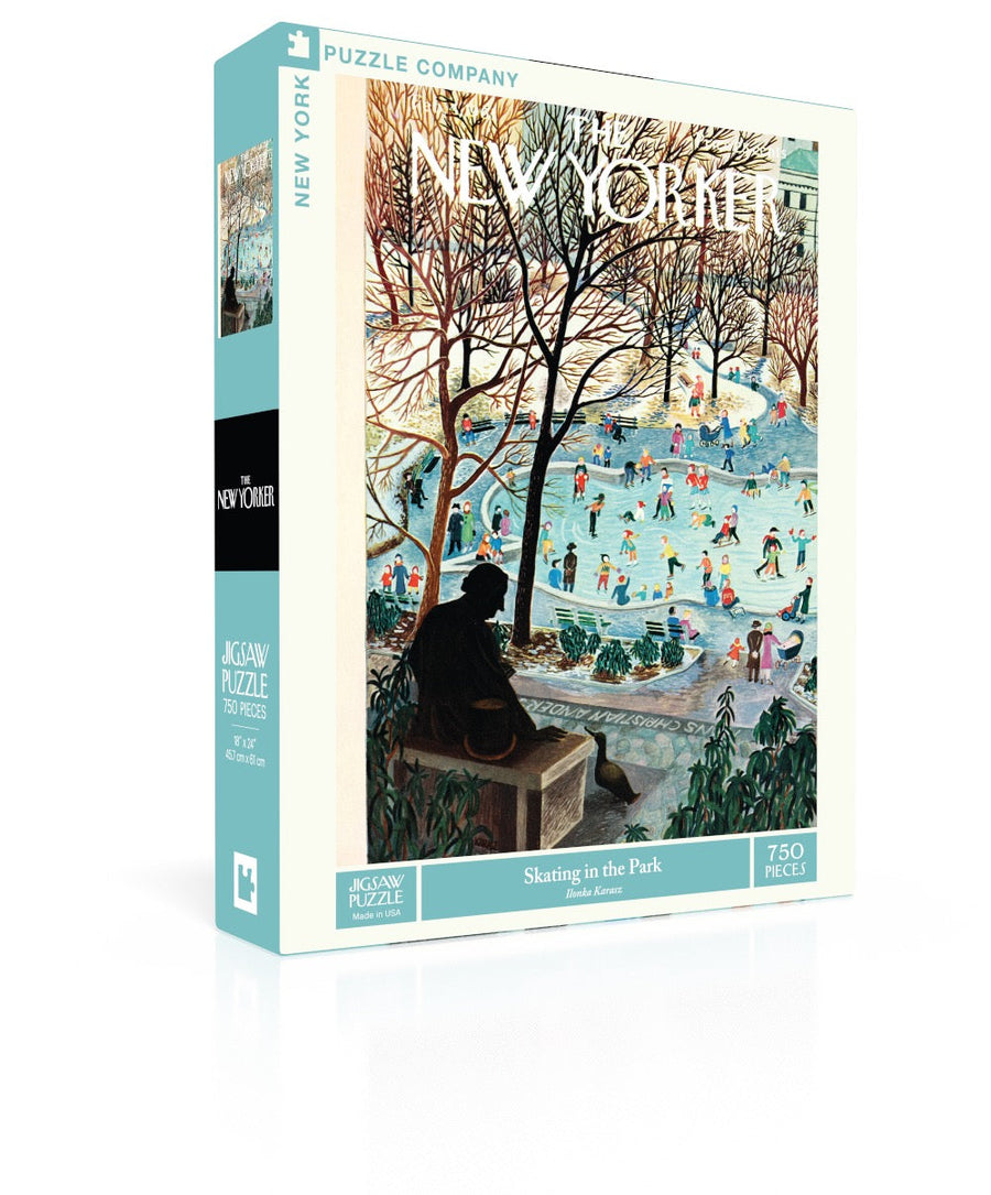 Skating in the Park puzzle box and illustrated design